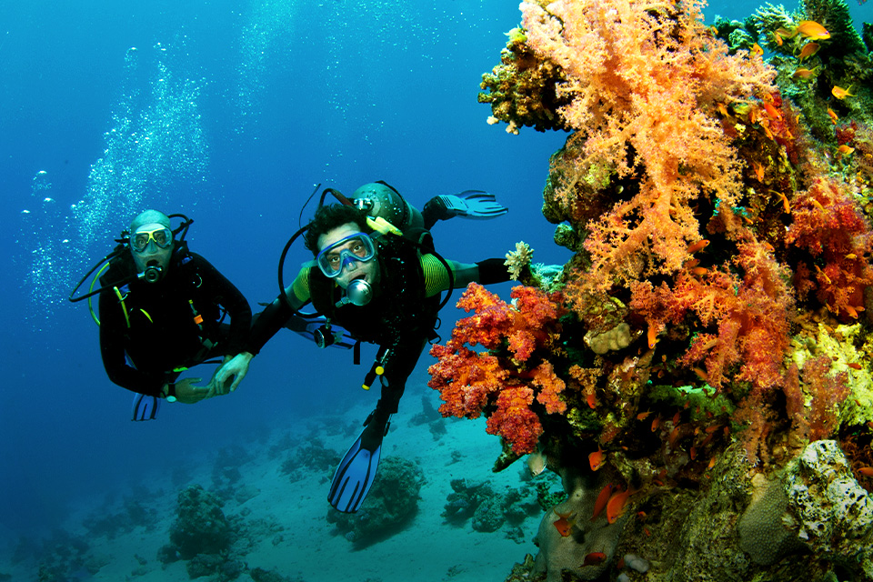 foto Diving Di Bukit Love