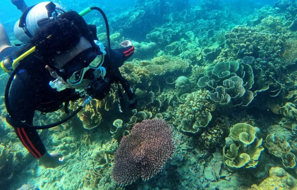 Diving Di Bukit Love